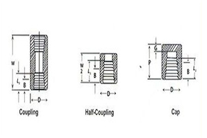 Forged Threaded Fittings